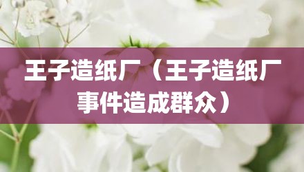 王子造纸厂（王子造纸厂事件造成群众）