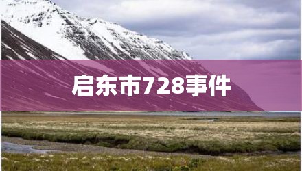 启东市728事件