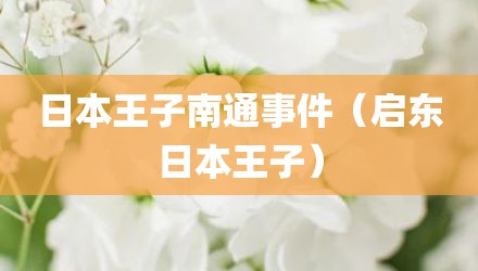 日本王子南通事件（启东日本王子）