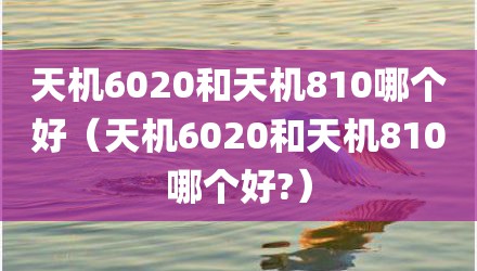 天机6020和天机810哪个好（天机6020和天机810哪个好?）