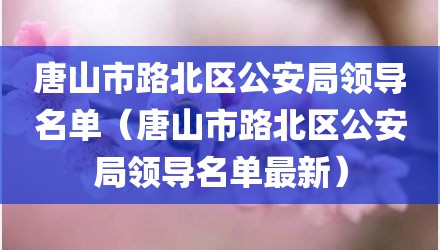 唐山市路北区公安局领导名单（唐山市路北区公安局领导名单最新）