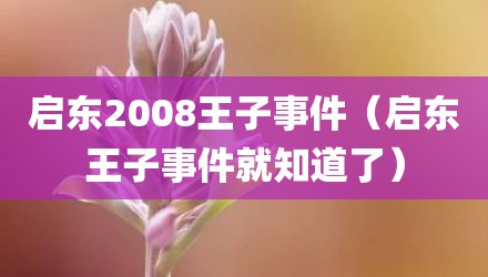 启东2008王子事件（启东王子事件就知道了）