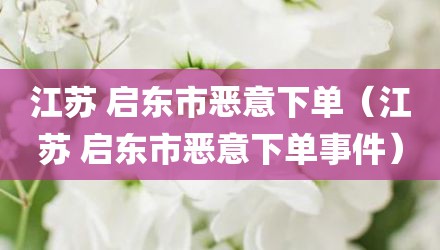 江苏 启东市恶意下单（江苏 启东市恶意下单事件）