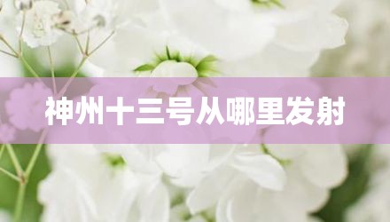 神州十三号从哪里发射