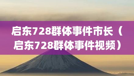 启东728群体事件市长（启东728群体事件视频）