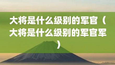 大将是什么级别的军官（大将是什么级别的军官军）