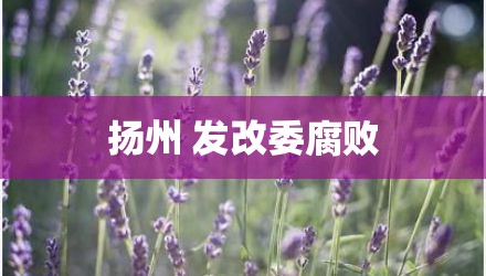 扬州 发改委腐败