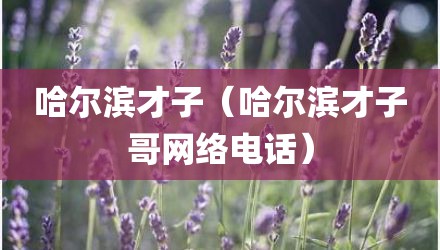 哈尔滨才子（哈尔滨才子哥网络电话）