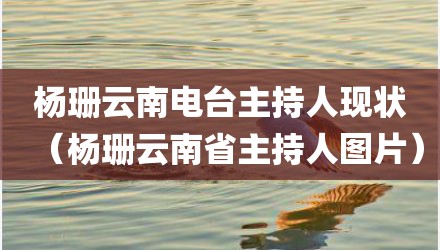 杨珊云南电台主持人现状（杨珊云南省主持人图片）