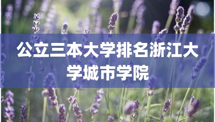 公立三本大学排名浙江大学城市学院