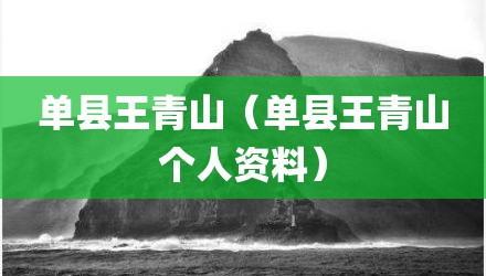 单县王青山（单县王青山个人资料）