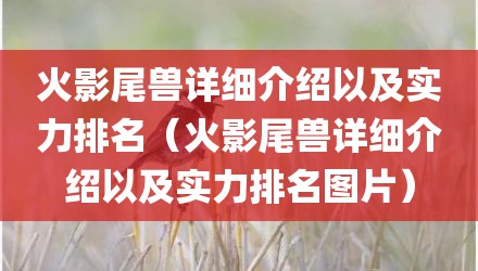 火影尾兽详细介绍以及实力排名（火影尾兽详细介绍以及实力排名图片）