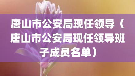 唐山市公安局现任领导（唐山市公安局现任领导班子成员名单）