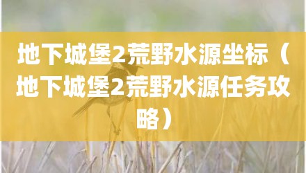 地下城堡2荒野水源坐标（地下城堡2荒野水源任务攻略）