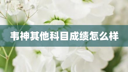 韦神其他科目成绩怎么样