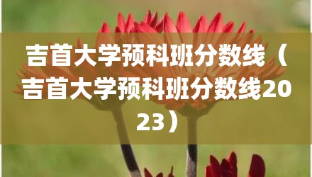 吉首大学预科班分数线（吉首大学预科班分数线2023）