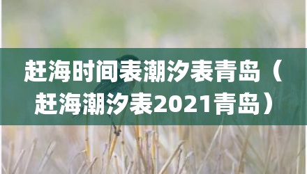 赶海时间表潮汐表青岛（赶海潮汐表2021青岛）