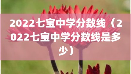 2022七宝中学分数线（2022七宝中学分数线是多少）