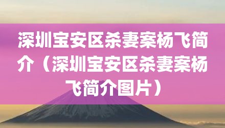 深圳宝安区杀妻案杨飞简介（深圳宝安区杀妻案杨飞简介图片）