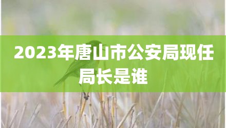 2023年唐山市公安局现任局长是谁