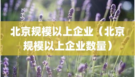 北京规模以上企业（北京规模以上企业数量）