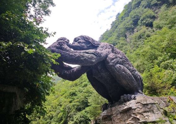 野人图片(神农架自驾游几天合适？)