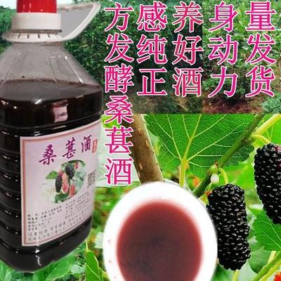 一斤桑葚泡几斤白酒(一斤桑葚兑多少酒？)