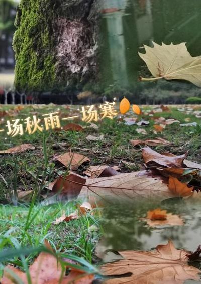 一场秋雨一场寒有科学依据吗(为什么说一场春风一场暖一场秋雨一场寒？)