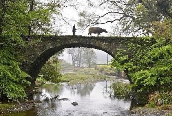 空手把锄头(禅意：空手把锄头，步行骑水牛，人在桥上走，桥流水不流？)