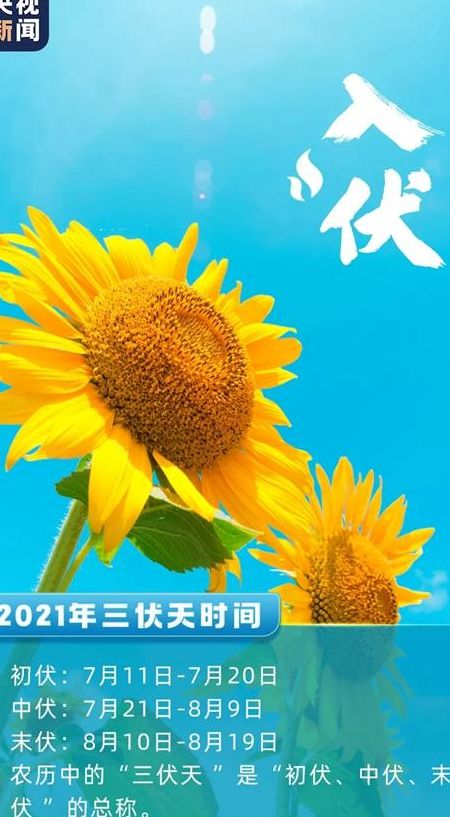 初伏是几月几日2020年（初伏是几月几号到几月几号）