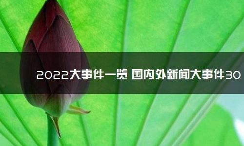 2020天下大乱的征兆(2020年新闻事件及评价？)