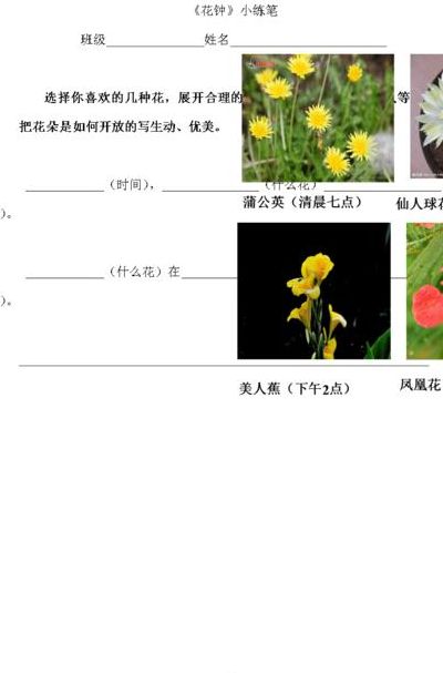 三年级花钟课后小练笔(三年级下册语文花钟仿写小练笔？)