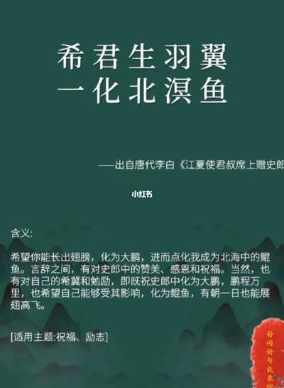 希君生羽翼一化北溟鱼是什么意思（希君生羽翼一化北溟鱼适用于什么人）