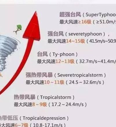 七级风有多大（七级风有多大的破坏力）