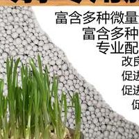 种植大蒜用什么肥料好（种植大蒜用什么肥料好些）