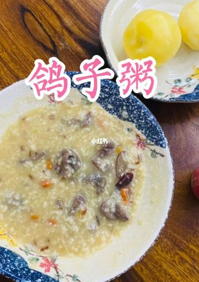 鸽子粥的做法（鸽子粥的做法大全家常视频）