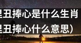 里丑捧心是什么生肖（里丑捧心什么意思）