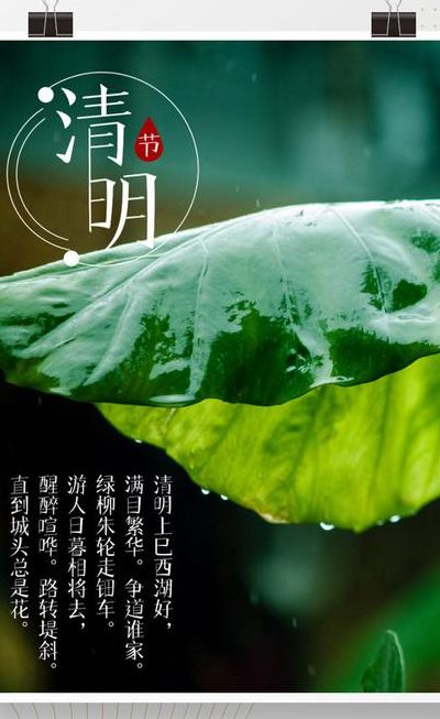 清明既是节日又是节气（清明既是节日又是节气对不对）