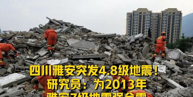 雅安地震带（雅安地震带走宿舍六台电脑三台单反和一直小乌龟的是谁）