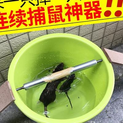 灭鼠神器（最佳灭鼠神器）