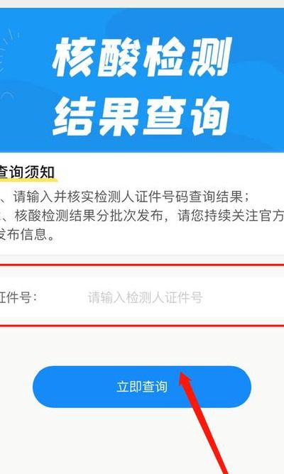 手机上多久能查出核酸检测结果(汴易检多久可以查询结果？)