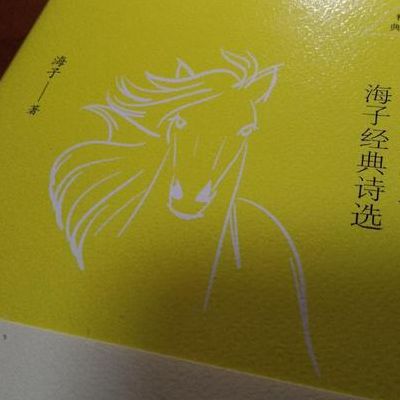 海子《以梦为马》(以梦为马出自哪里？)