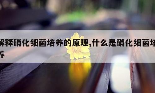 如何培养硝化细菌（培养硝化细菌最简单的方法）