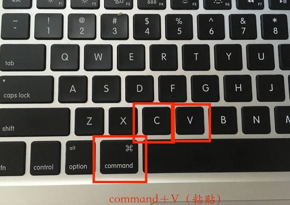 复制的快捷键是什么（复制的快捷键是什么键）