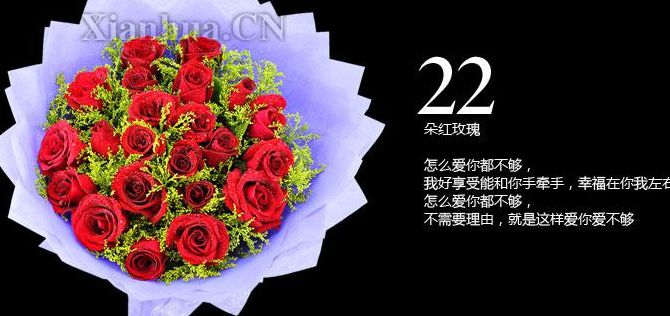 22朵玫瑰（22朵玫瑰花代表什么花语）