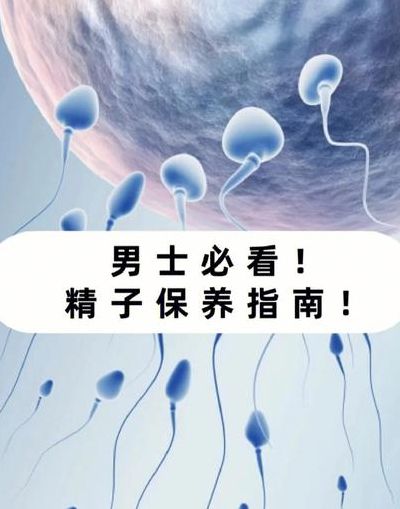 男人保养秘诀（男人应该怎么保养身体）