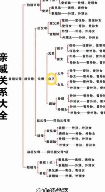 爷爷和外公哪个血缘亲（外甥身上有舅舅的血吗）