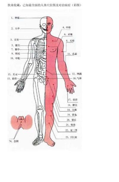 包含穴位图解彩图的词条