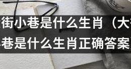 大街小巷是什么生肖?（大街小巷是什么生肖?肖）