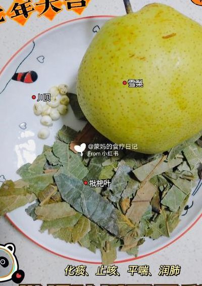 枇杷叶怎么煮水止咳（枇杷叶怎么煮水止咳化痰）